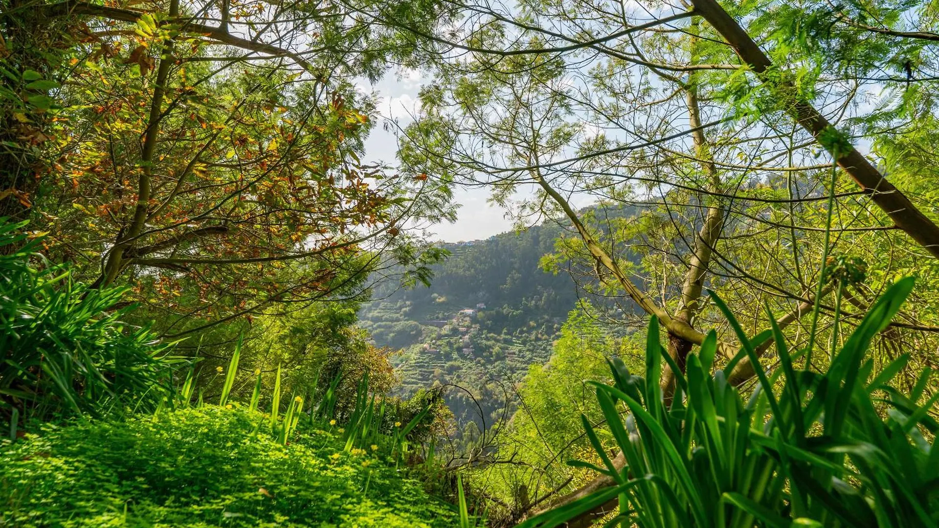 Santiago Apartment Alpine Escape Villa 加乌拉
